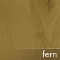Fern