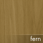 Fern